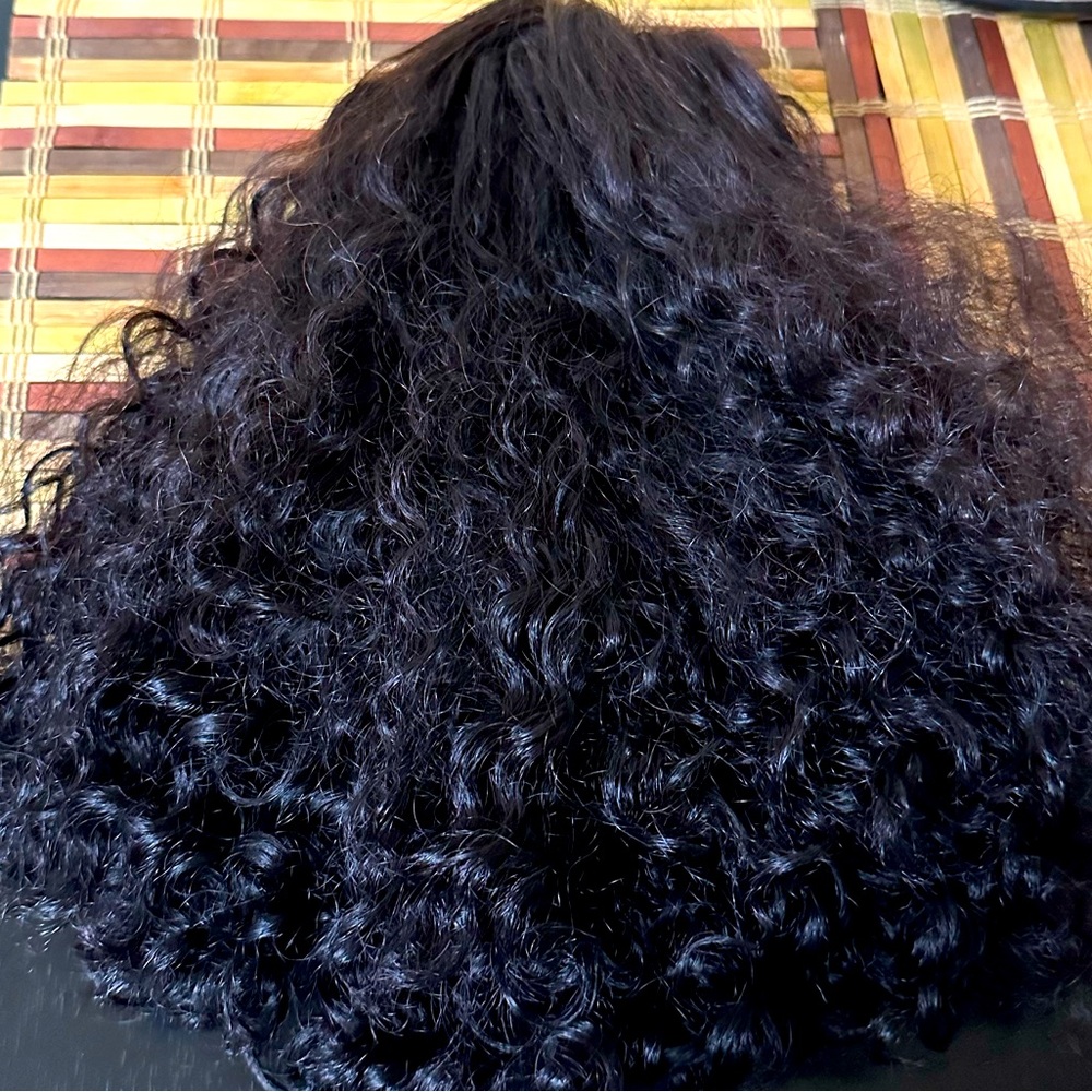 Human Hair Wig 100% human hair Natural Black